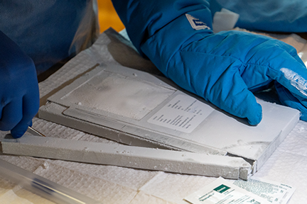 Opening frozen TCR-T