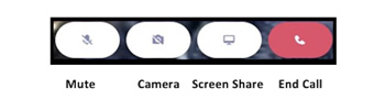 Image reference of controls at the bottom of the screen : mute, camera, screen share, end call